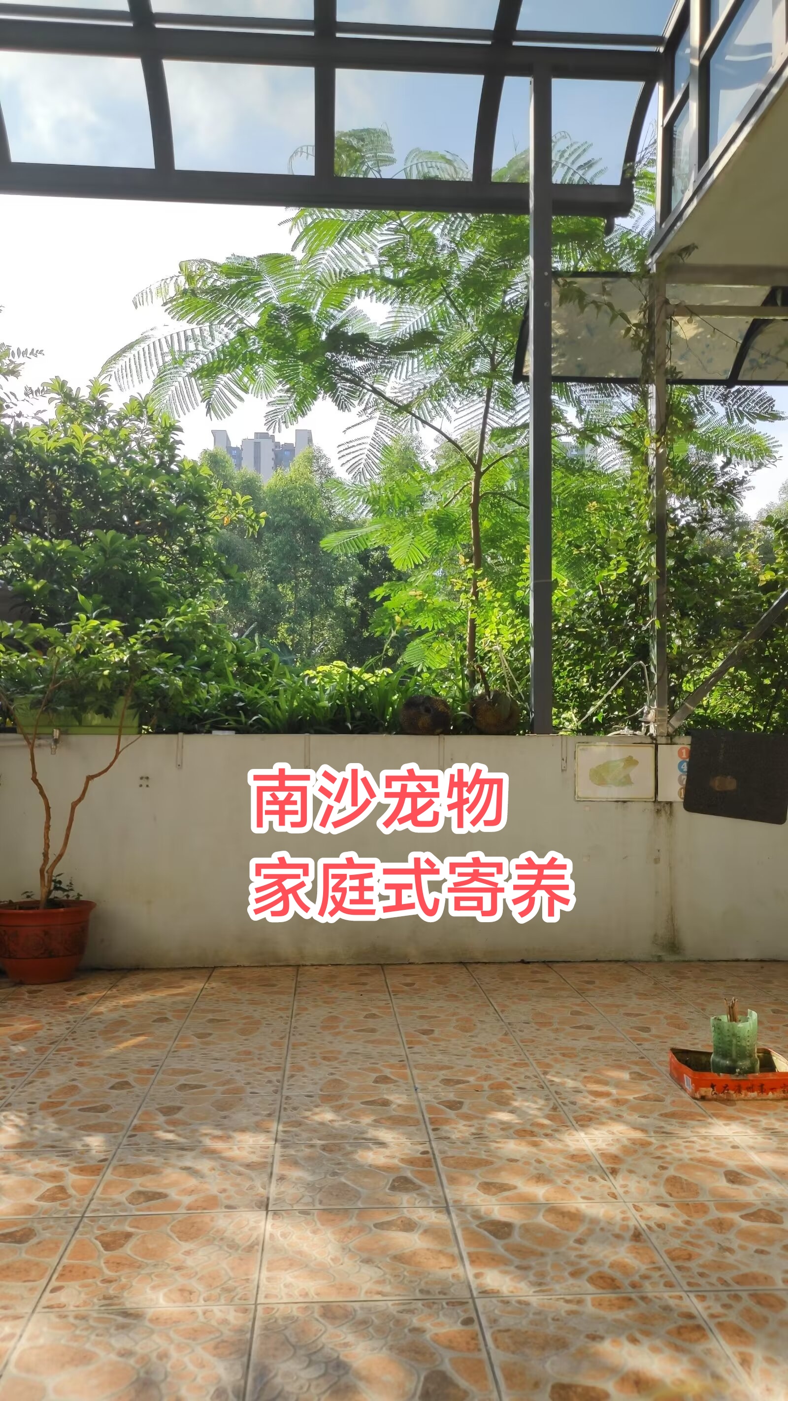 南沙宠物寄养 - 图片 2